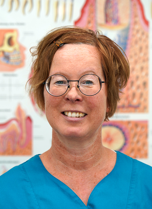 ZMV Birgit Gipmans